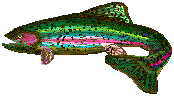 trout show xenoestrogens cause Menstrual Cramps